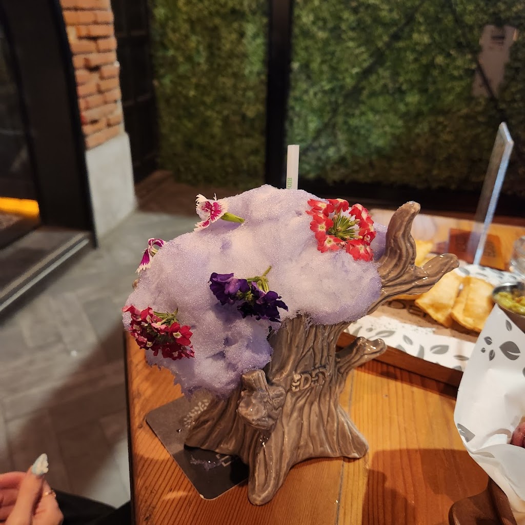 Cóctel artístico con presentación única Eden Bar Lima